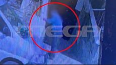 Σοκάρουν τα βίντεο με τον πρώην αντιδήμαρχο που σκοτώνει γατάκι χτυπώντας το στον τοίχο