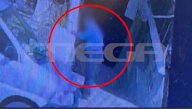Σοκάρουν τα βίντεο με τον πρώην αντιδήμαρχο που σκοτώνει γατάκι χτυπώντας το στον τοίχο