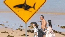 Ένας 39χρονος νεκρός στην Αυστραλία από επίθεση καρχαρία
