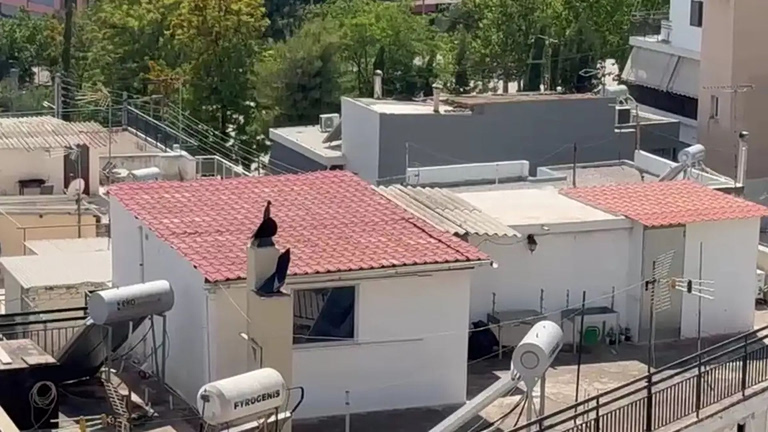 Αυτό είναι το σπίτι-τρώγλη που ζούσαν τα έξι παιδιά στο Περιστέρι
