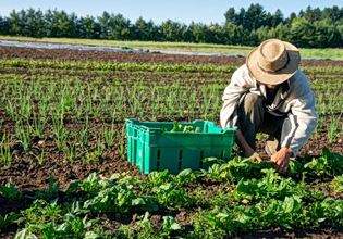 Η Ευρωπαϊκή Ένωση αλλάζει τους κανόνες για τα βιολογικά προϊόντα και τις οικολογικές ετικέτες
