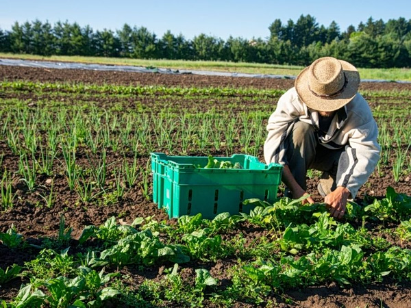 Η Ευρωπαϊκή Ένωση αλλάζει τους κανόνες για τα βιολογικά προϊόντα και τις οικολογικές ετικέτες