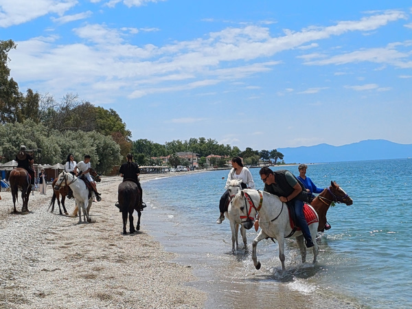 Παρουσία πλήθους κόσμου το έθιμο καθαγιασμού των αλόγων στην Δ. Κ. Καλών Νερών του Δήμου Νοτίου Πηλίου