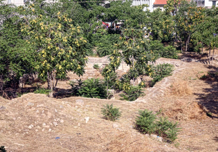 Πότε λήγει η προθεσμία για τα ακαθάριστα οικόπεδα