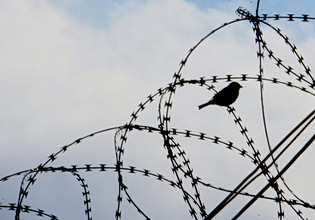 Απόδραση από τις φυλακές Κορυδαλλού: Συνελήφθησαν δύο σωφρονιστικοί υπάλληλοι