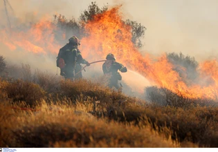 Μεγάλος κίνδυνος πυρκαγιάς από ξερά χόρτα και πυκνή βλάστηση – «Βόμβες» τα ακαθάριστα οικόπεδα