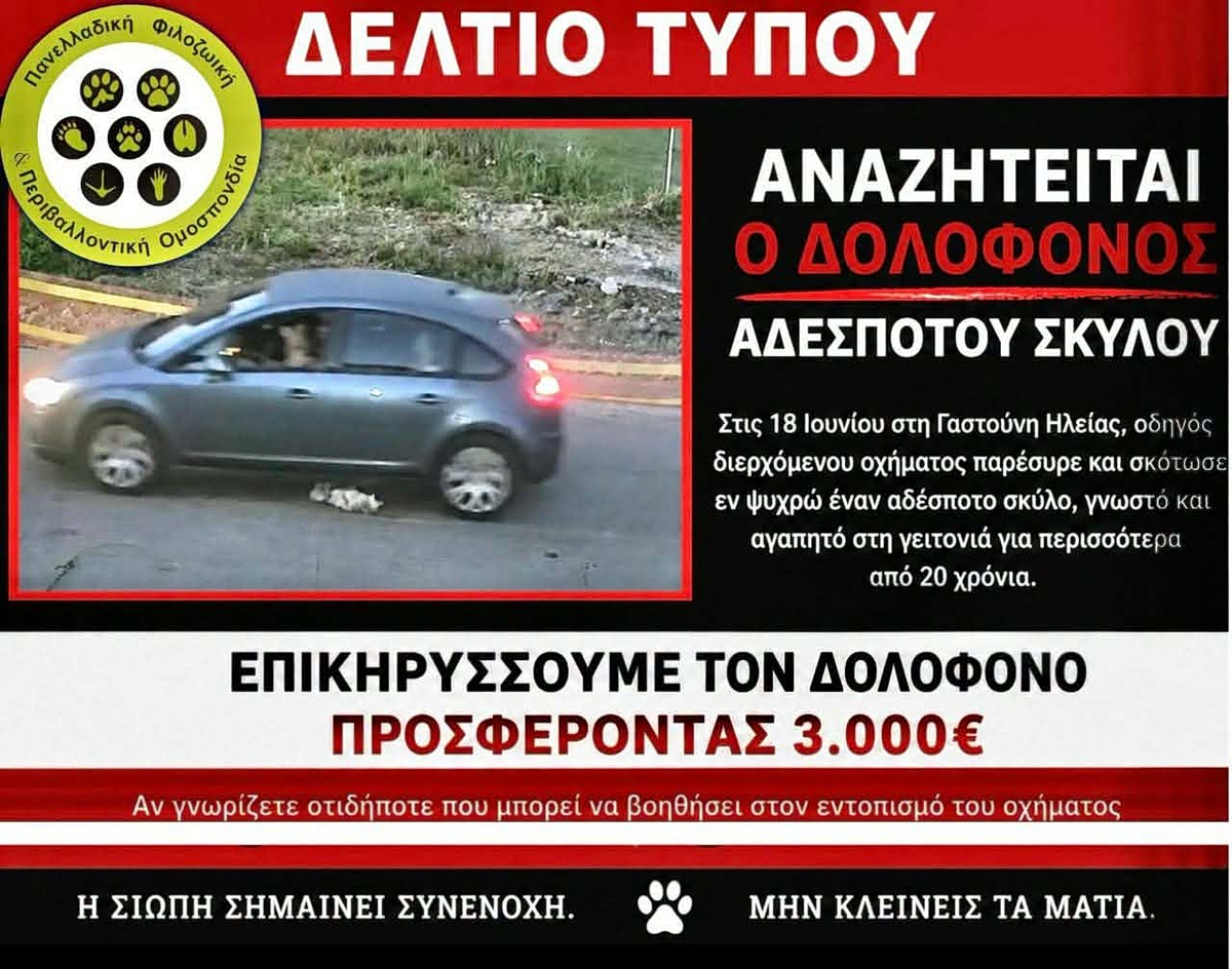 Γαστούνη: Επικήρυξαν τον οδηγό που πάτησε και σκότωσε σκύλο – Πληροφορίες ότι πρόκειται για γυναίκα