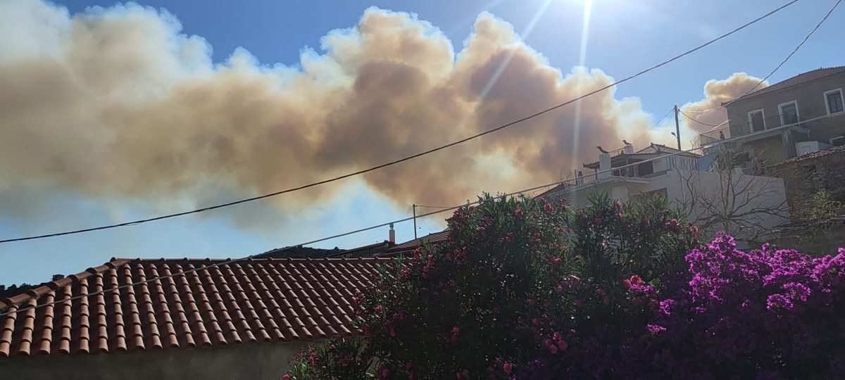Μεγάλη φωτιά στην Εύβοια – Εντολή εκκένωσης σε Μεσοχώρια και Ραπταίους – Επιχειρούν 15 εναέρια μέσα