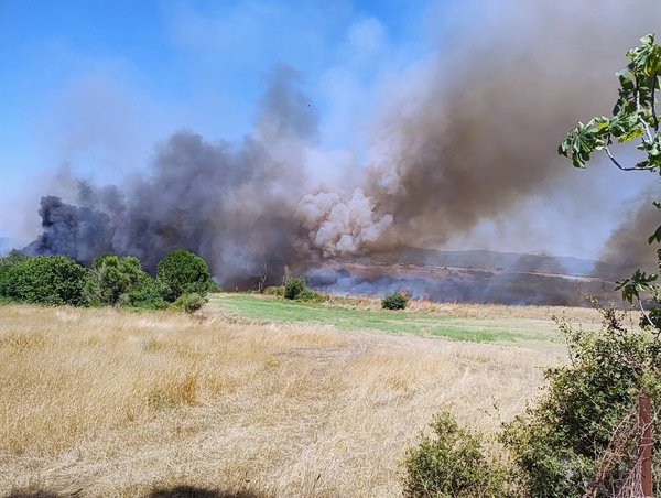 Φωτιά στη Βάρδα: Ενισχύθηκαν οι πυροσβεστικές δυνάμεις – Νέες εστίες προκαλούν οι ισχυροί άνεμοι