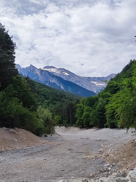 Αυτοψία στον αναβαθμισμένο δασικό δρόμο Κοκκινοπηλού – Πέτρας στις πλαγιές του Ολύμπου