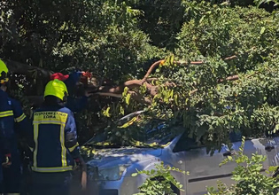 Θυελλώδεις άνεμοι: Δέντρο καταπλάκωσε όχημα στη Μιχαλακοπούλου – Πού καταγράφηκαν οι ισχυρότερες ριπές