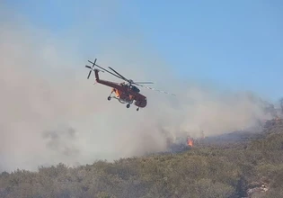 Μεσσηνία: Φωτιά ξέσπασε στο Χαρακοπιό – Επιχειρούν και εναέρια μέσα