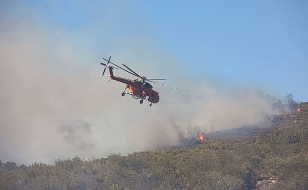 Μεσσηνία: Φωτιά ξέσπασε στο Χαρακοπιό – Επιχειρούν και εναέρια μέσα