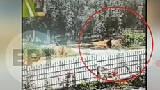 Αγρίνιο: «Με εκνευρίζουν οι θάμνοι», είπε 50χρονος που έβαλε φωτιά – Βίντεο κατέγραψε τις κινήσεις του