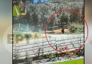 Αγρίνιο: «Με εκνευρίζουν οι θάμνοι», είπε 50χρονος που έβαλε φωτιά – Βίντεο κατέγραψε τις κινήσεις του