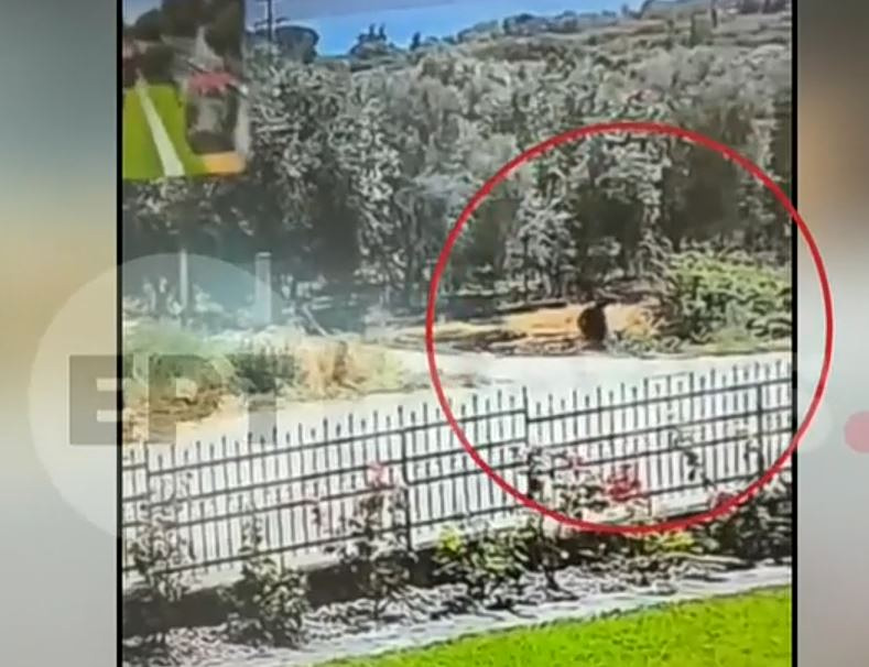 Αγρίνιο: «Με εκνευρίζουν οι θάμνοι», είπε 50χρονος που έβαλε φωτιά – Βίντεο κατέγραψε τις κινήσεις του