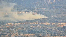 Εύβοια: Φωτιά στη περιοχή Λούτσα – Σηκώθηκαν και εναέρια μέσα