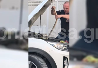 Λάρισα: Πυροσβέστες έβγαλαν φίδι 1,5 μέτρου από μηχανή αυτοκινήτου