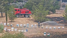 Από κάπνισμα μελισσών η φωτιά στο λόφο της Φιλοθέης – Αναζητούνται οι μελισσοκόμοι
