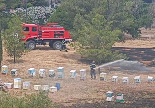 Από κάπνισμα μελισσών η φωτιά στο λόφο της Φιλοθέης – Αναζητούνται οι μελισσοκόμοι