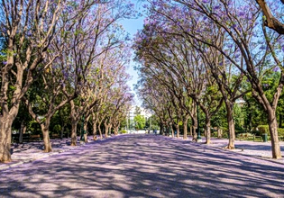 Συμμετοχή του δημου Αθηναίων σε παγκόσμια πρωτοβουλία του ΟΗΕ 