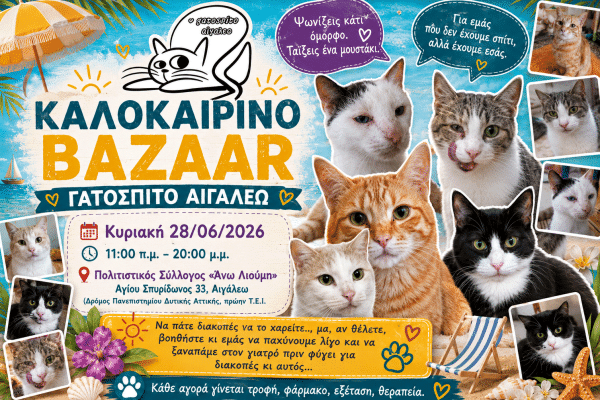 Πηγαίνουμε στο καλοκαιρινό bazaar του «Γατόσπιτου Αιγάλεω» στον Πολιτιστικό Σύλλογο «Άνω Λιούμη»