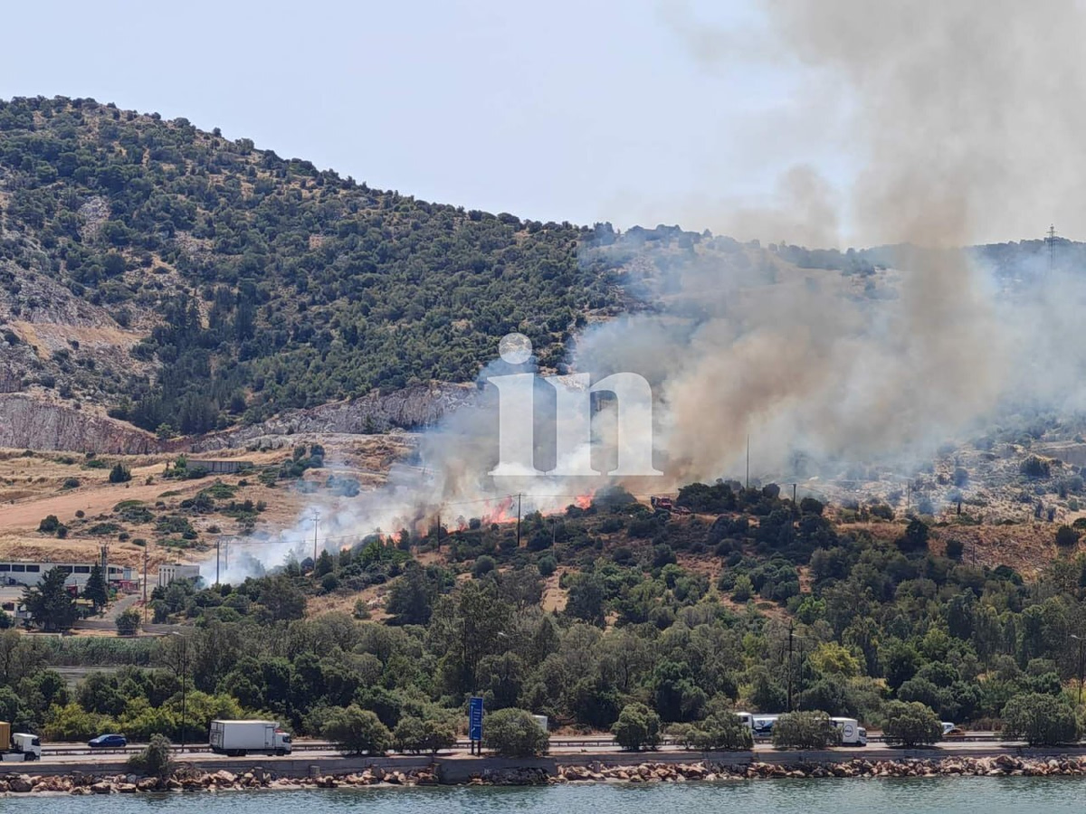 Φωτιά στον Ασπρόπυργο κοντά στο Στρατόπεδο Ξηρογιάννη – Έχουν σηκωθεί 2 αεροσκάφη και 3 ελικόπτερα