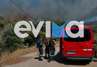 Φωτιά σε δασική έκταση στην Εύβοια – Ισχυρές δυνάμεις στο σημείο