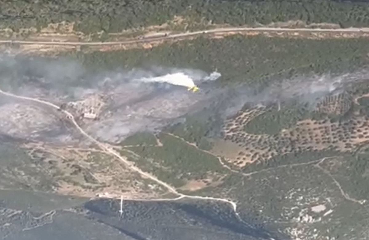 Σε ύφεση η φωτιά στην Εύβοια – Χωρίς ενεργή εστία το μέτωπο – Ισχυρές πυροσβεστικές δυνάμεις στην περιοχή