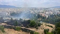Φιλοθέη: Βίντεο-ντοκουμέντο δείχνει μελισσοκόμο να απομακρύνεται όταν οριοθετήθηκε η φωτιά – Ταυτοποιήθηκε και αναζητείται