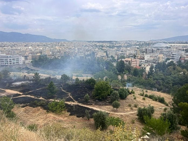 Φιλοθέη: Βίντεο-ντοκουμέντο δείχνει μελισσοκόμο να απομακρύνεται όταν οριοθετήθηκε η φωτιά – Ταυτοποιήθηκε και αναζητείται