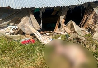 Κοζάνη: 15 νεκρά πρόβατα και μεγάλες καταστροφές από επίθεση αρκούδας σε κτηνοτροφική μονάδα