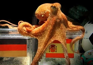 Μουντιάλ: Από το χταπόδι Πολ στην Τεχνητή Νοημοσύνη (pic)
