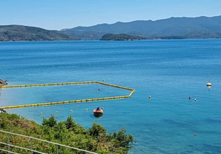 Σε αυτές τις παραλίες μπαίνουν τα δίχτυα για τις μωβ μέδουσες- Πότε τοποθετούνται- Που υπάρχει έξαρση μεδουσών