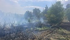 Συνελήφθη 45χρονος μελισσοκόμος για τη φωτιά στο Άλσος Βεΐκου