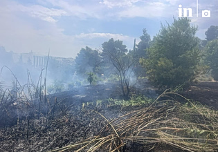 Συνελήφθη 45χρονος μελισσοκόμος για τη φωτιά στο Άλσος Βεΐκου