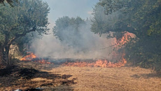 Φωτιά στη Βρία Κατερίνης – Επιχειρούν τρία εναέρια μέσα