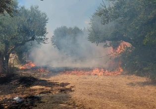Φωτιά στη Βρία Κατερίνης – Επιχειρούν τρία εναέρια μέσα
