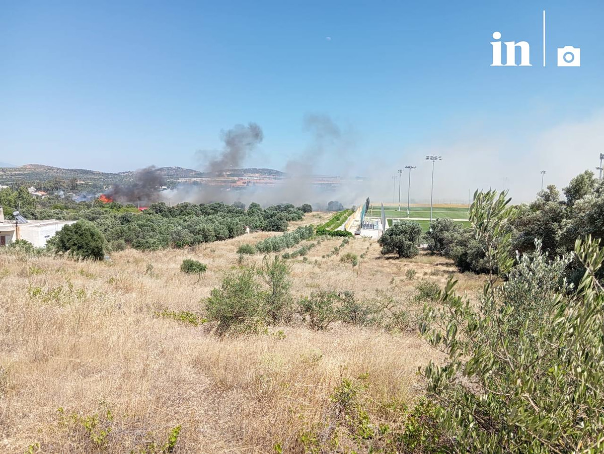 Φωτιά τώρα: Συναγερμός για τρία πύρινα μέτωπα σε Αττική και Βοιωτία