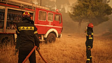 Θεσσαλονίκη: Μία σύλληψη για εμπρησμό από αμέλεια για τη φωτιά στα Βασιλικά