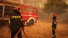 Φωτιές: Παρατεταμένη ξηρασία και ανθρώπινη αμέλεια αυξάνουν τον κίνδυνο – Στη Θεσσαλονίκη 272 φωτιές σε 18 ημέρες