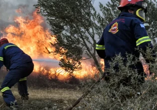 Φωτιά σε δασική έκταση στην Κόνιτσα