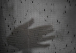 Εκρηκτική αύξηση των κρουσμάτων δάγκειου πυρετού στο Μπανγκλαντές