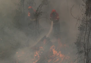 Πύρινη κόλαση στην Πορτογαλία: Πάνω από 1.100 πυροσβέστες δίνουν μάχη με φωτιά που έχει κάψει 100.000 στρέμματα