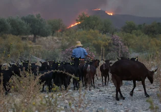 Για τρίτη μέρα παλεύουν με τη φωτιά οι πυροσβέστες στην Ισπανία – 66.000 στρέμματα γης έχουν γίνει παρανάλωμα