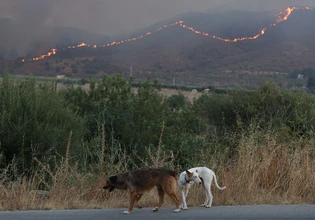 Φωτιά στην Ισπανία: Μάχη δίνουν οι πυροσβέστες για να μην κινδυνεύσουν πυκνοκατοικημένες περιοχές