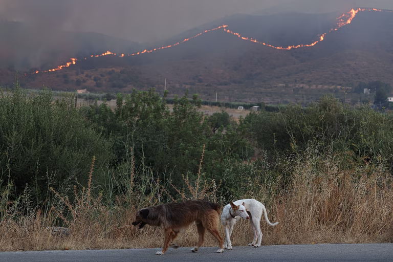 Φωτιά στην Ισπανία: Μάχη δίνουν οι πυροσβέστες για να μην κινδυνεύσουν πυκνοκατοικημένες περιοχές