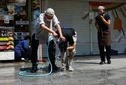 «Κοκουσόμπι», ακραία ζέστη πλήττει την Ιαπωνία – Ένας νεκρός, ρεκόρ εισαγωγών στα νοσοκομεία