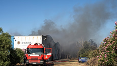 Καβάλα: Πυρκαγιά σε χαμηλή βλάστηση κοντά στην Εγνατία Οδό στην Ελευθερούπολη
