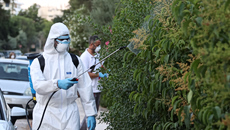 Τι πρέπει να ξέρουμε για τον ιό του Δυτικού Νείλου – Οι ηλικιακές ομάδες που πρέπει να προσέχουν